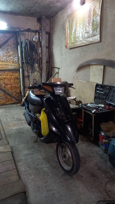 джог артистик на конфе