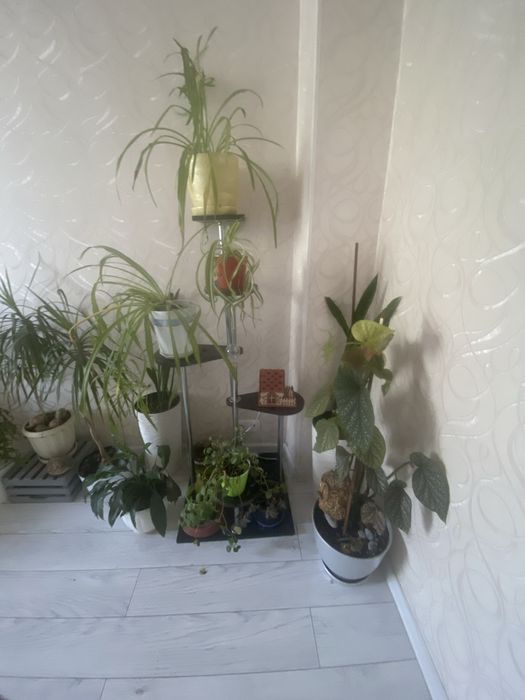 Подставка под цветы