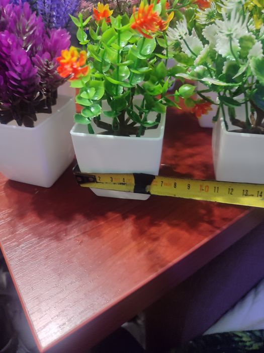 Яскраві штучні рослини . 7 штук.