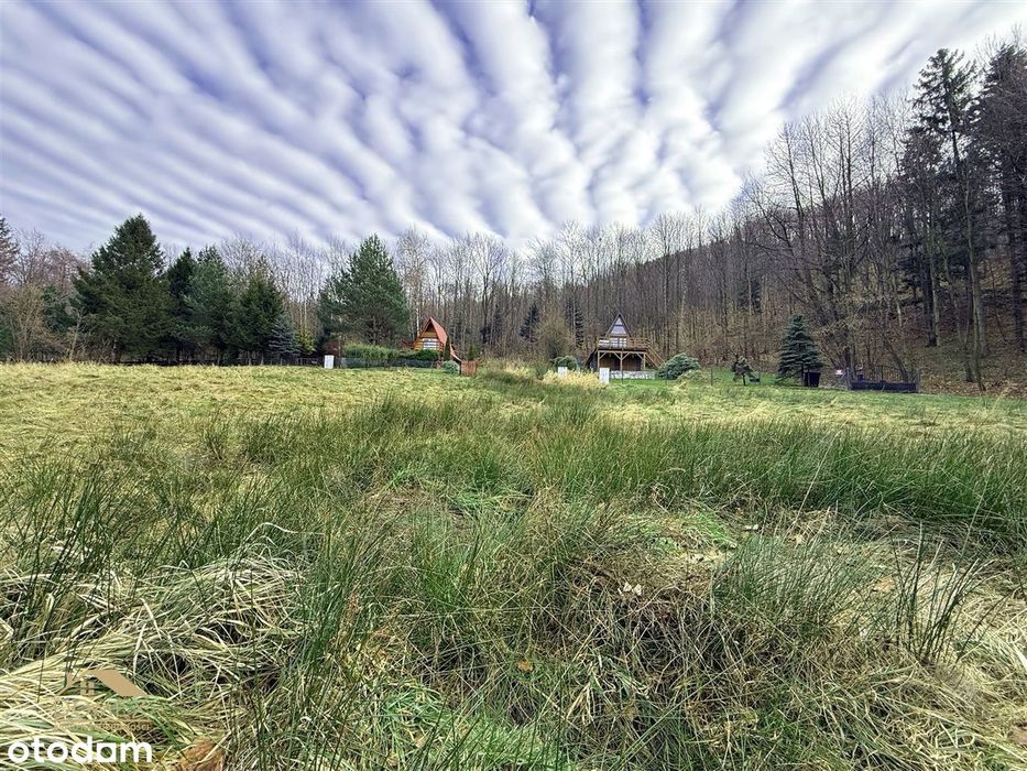 Widokowe działki pod lasem – Ustroń Lipowiec