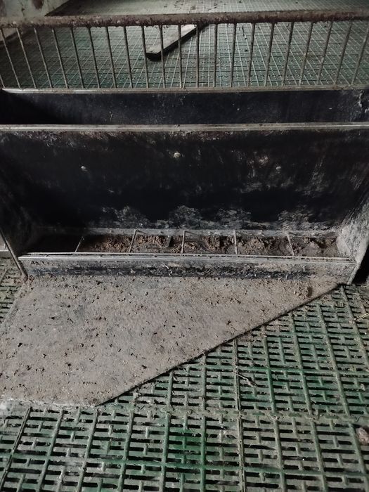 Sprzedam paśnik ładny