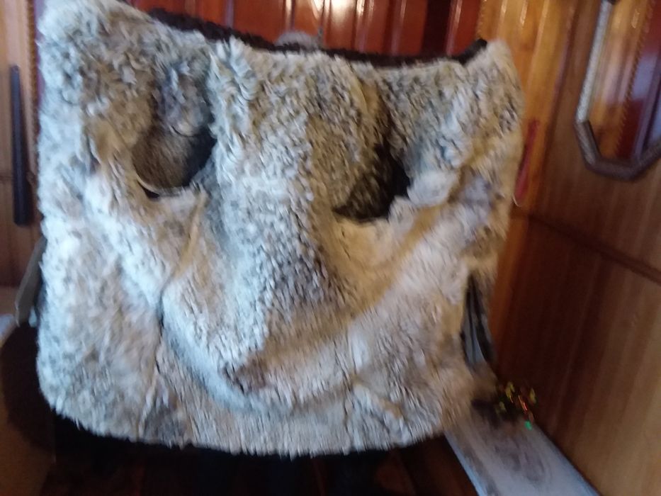 Кожух сибірський