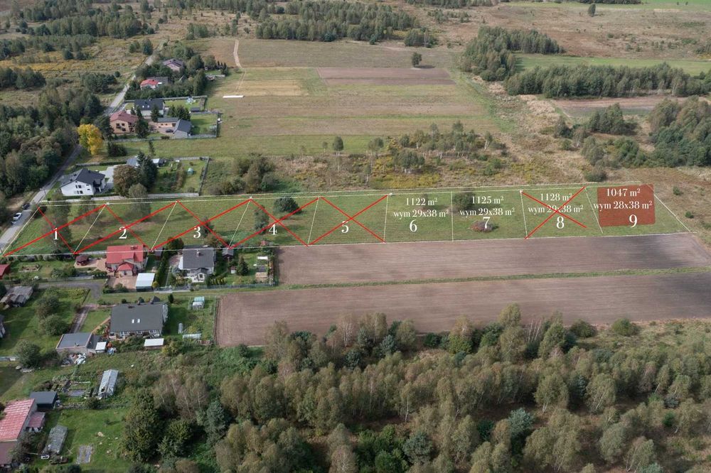 Zdjęcie 3