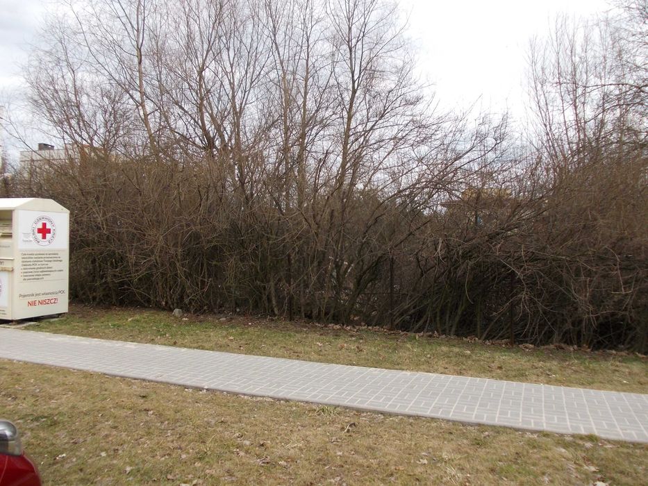 Działka - Tychy Centrum