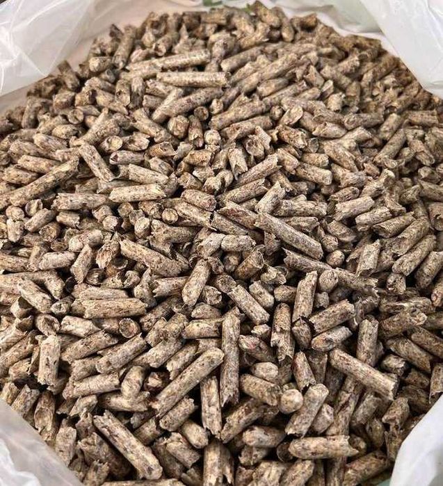 Olczyk Barlinek Lava Sylva Olimp Pelleton Feniks Pelet Pellet Sobianek