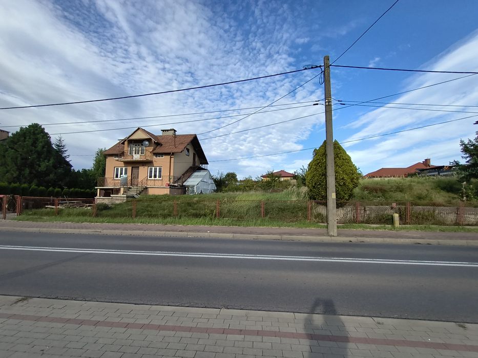 Zdjęcie 3