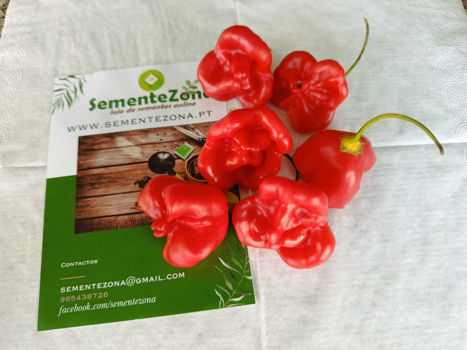 Sementes - Conjunto/Lote de 4 variedades de pimentos picantes