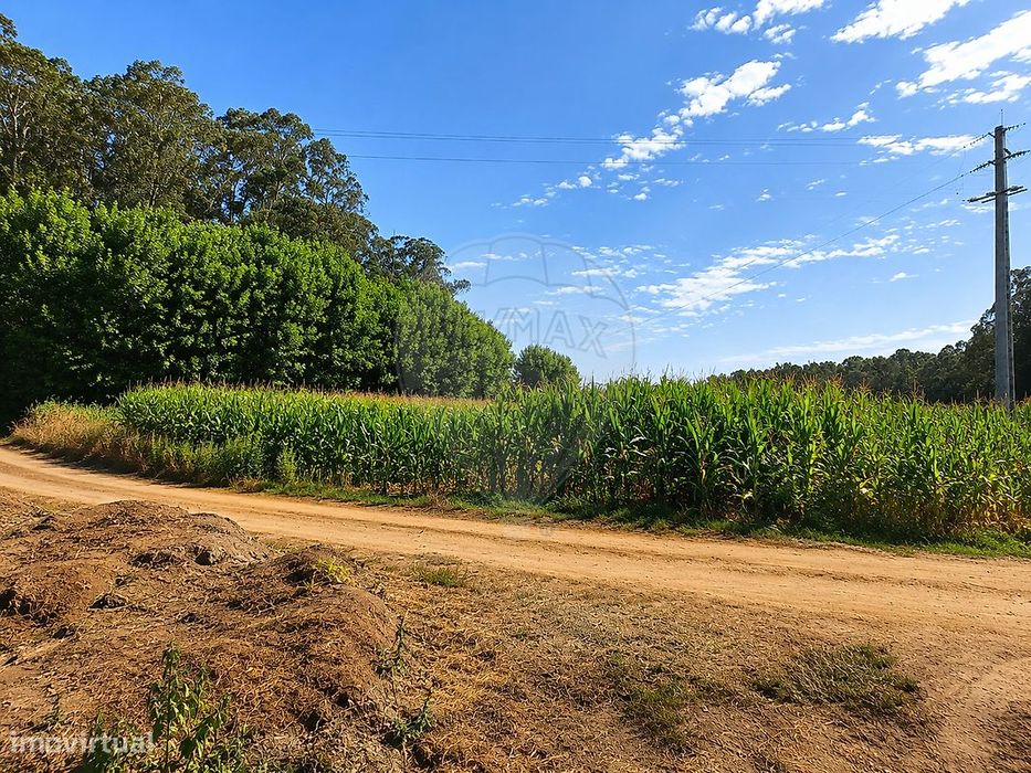 Terreno  para venda