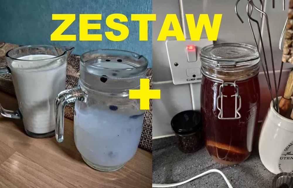 Kombucza - Grzybek tybetański - Algi japońskie | ZESTAW DO HODOWLI