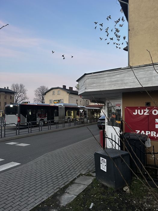 Lokal gastronomiczny