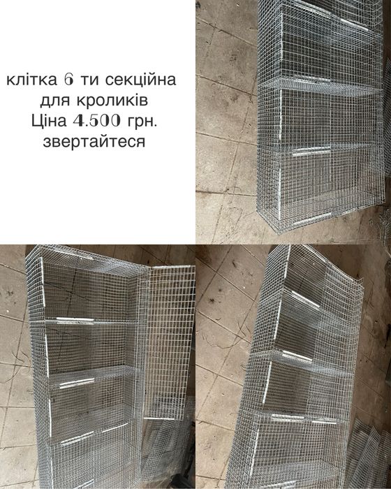 Клітки для кролів