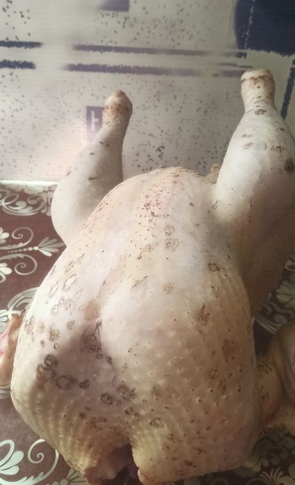 Індик бролерний м'ясо, тушка