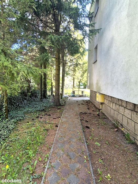 Sprzedam dom z ogrodem w centrum Chrzanowa