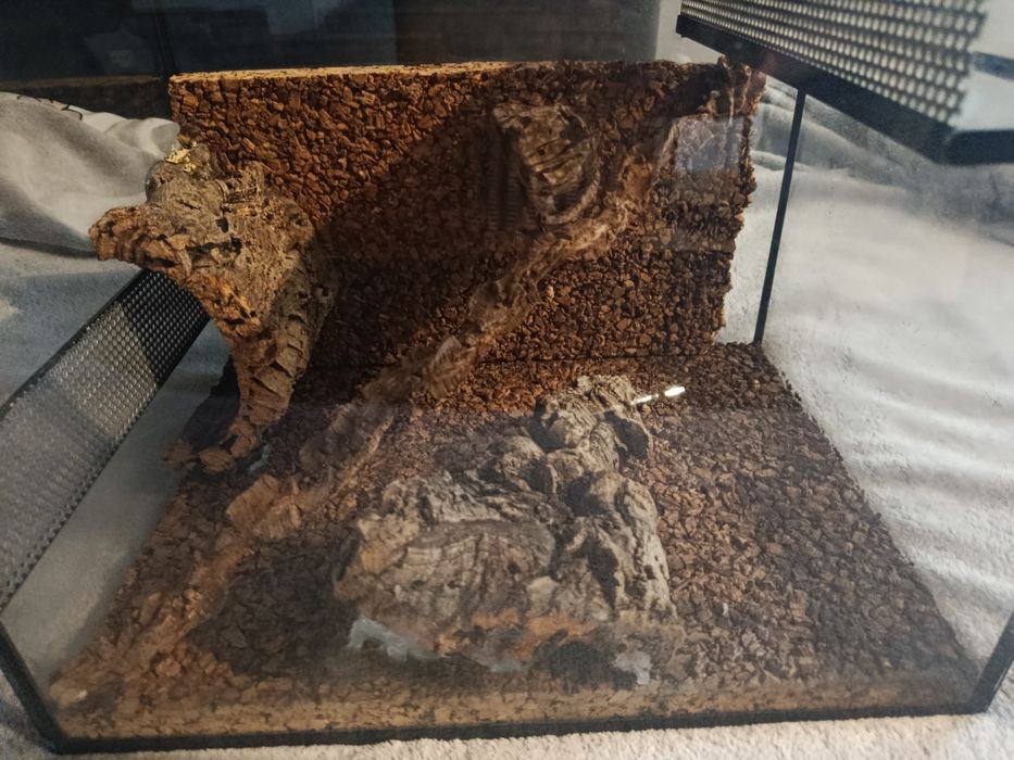 Terrarium dla gekona