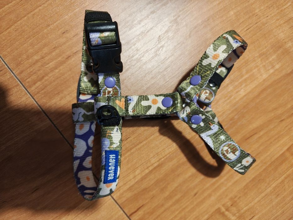 Dwie pary szelek i smycz, Hauever, Baylabel, chihuahua