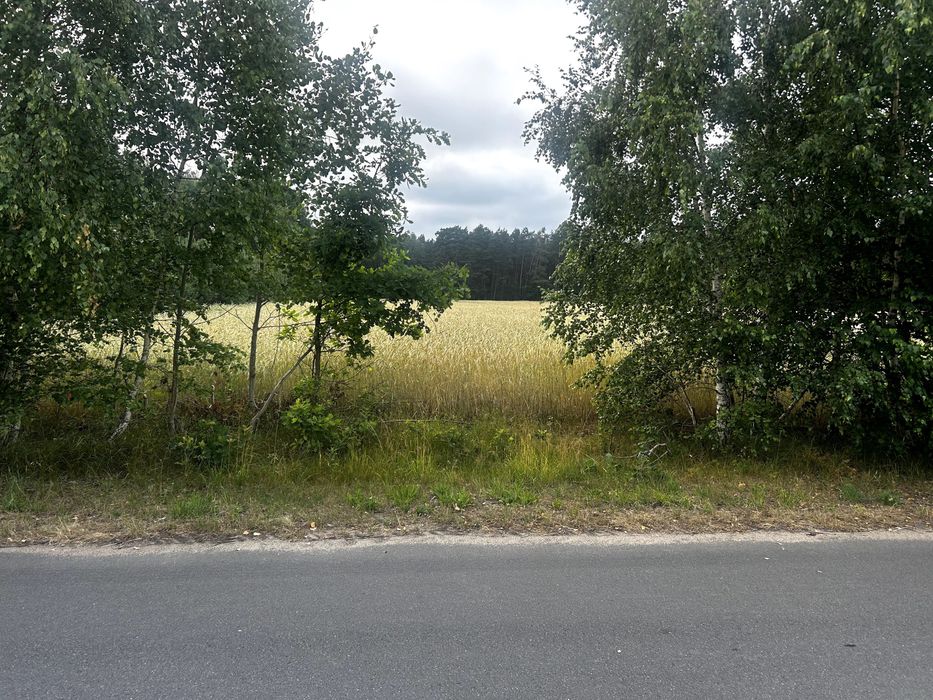 Na sprzedaż działka budowlana o powierzchni 4583 m², położona w miejscowości Grabal, gmina Szczutowo.