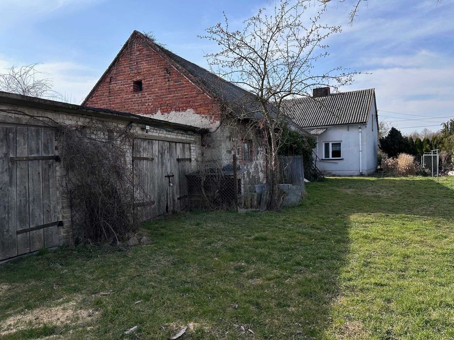 Siedlisko 0,81 ha Blizin gm. Wola Krzysztoporska dom z polem uprawnym