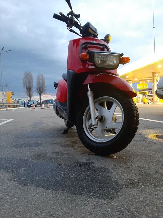 Прокат, аренда мопедов, скутеров