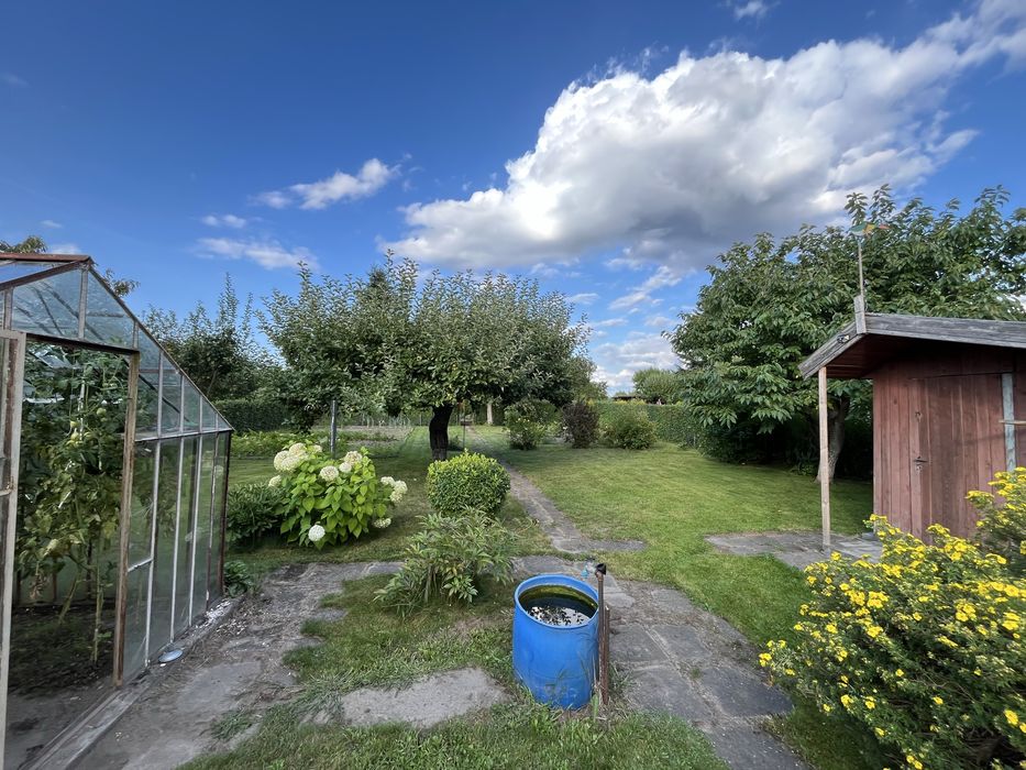 Sprzedam prawo do użytkowania działki ROD – 444 m² | Starogard Gdański (Kocborowo)