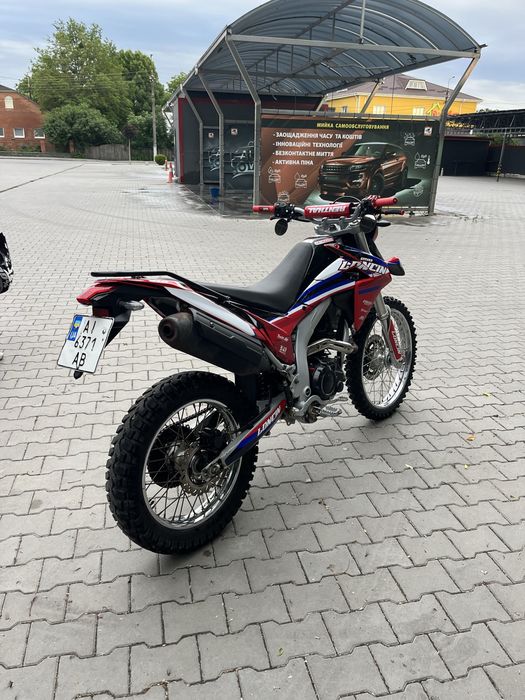 Продам лося 250.