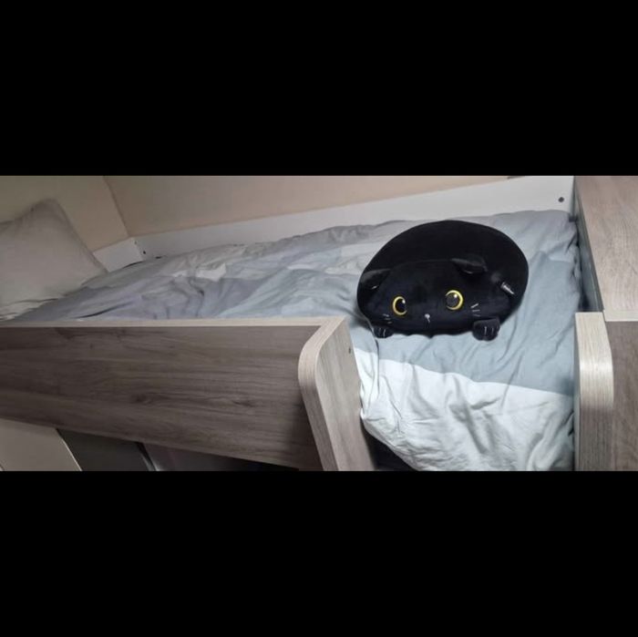 Beliche com 2 colchoes