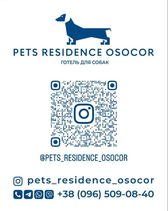 Перетримка собак в комфортних умовах. Приватна закрита територія.