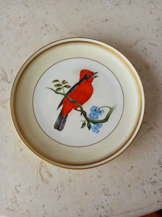 Prato Vista Alegre - tema aves