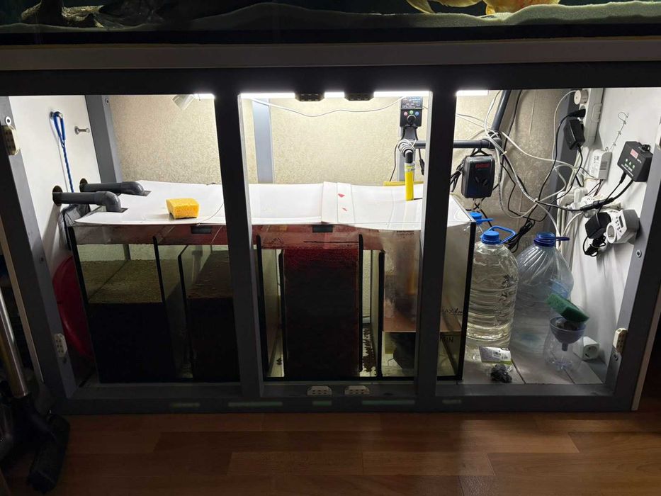 Продам аквариум 500л + рыба + оборудование