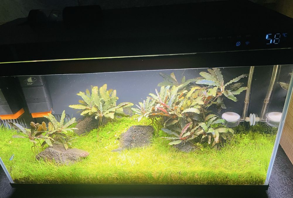 Akwarium 20L Optiwhite Xiaomi Mijia-sterowanie aplikacją