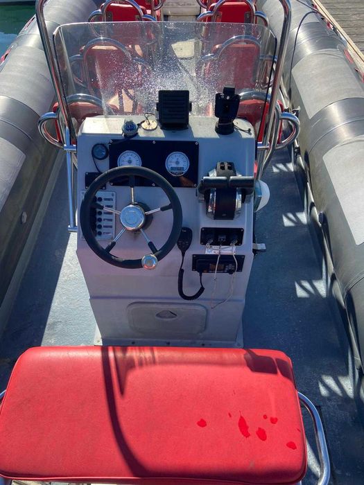 Semi-Rígido Narwhal