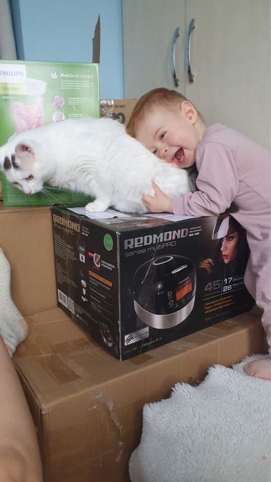 Пристраиваем в добрые руки