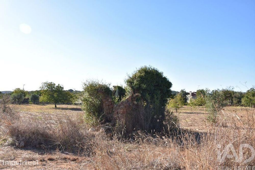 Terreno para construção em Areias e Pias de 8120,00 m2