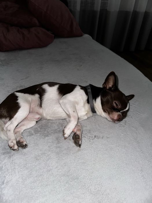 Красунчик шукаю подружку для серьозних відносин