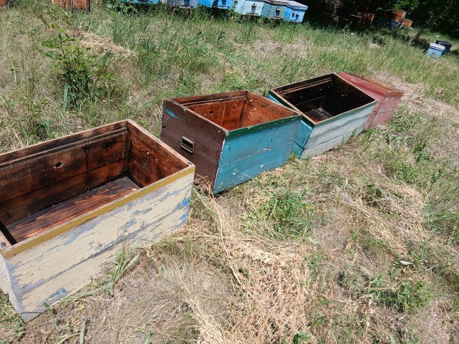 Вулики лежаки  пасіка