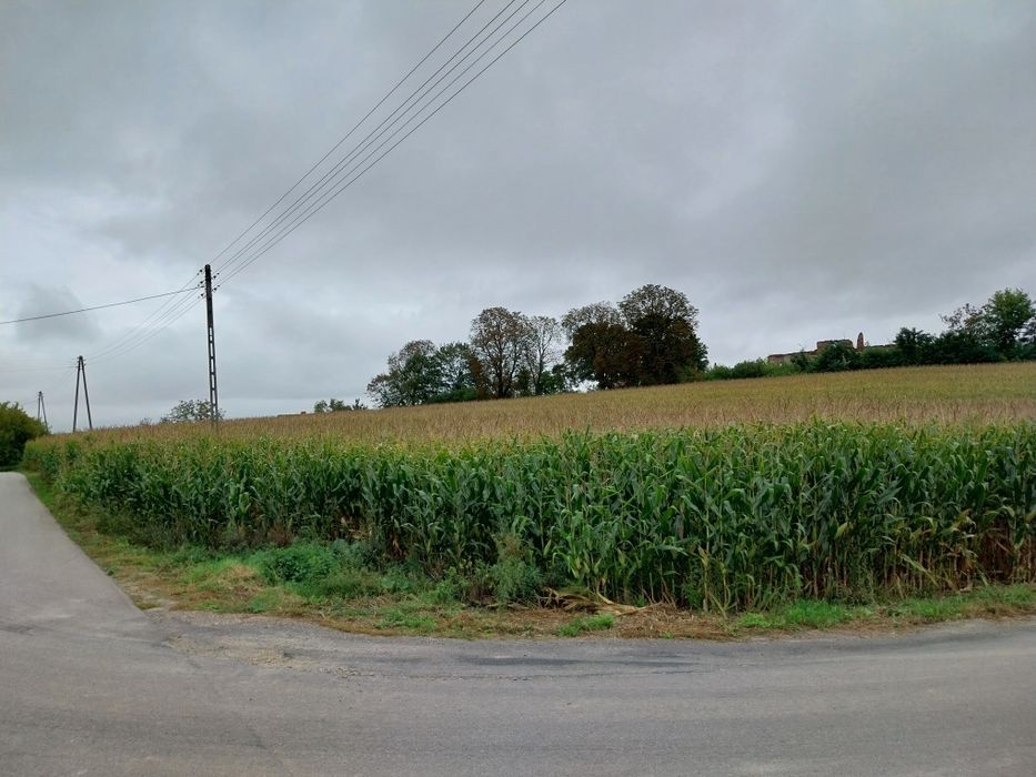 Gospodarstwo Rolne ,budynki, ziemia rolna 10 ha