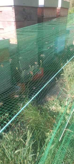 Sistema ApiDesbloqueadora Colmeias e ApiBloqueadora da Vespa Velutina