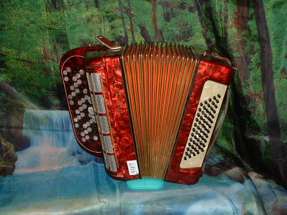 Acordeão Avenda R 597