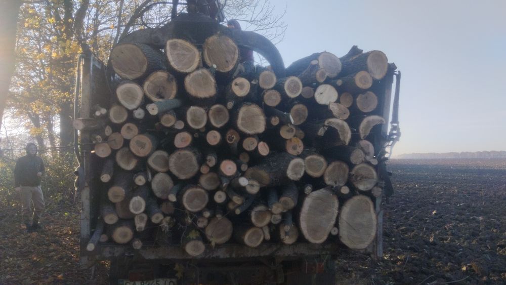 Продам дрова твердих порід опт/ розница
