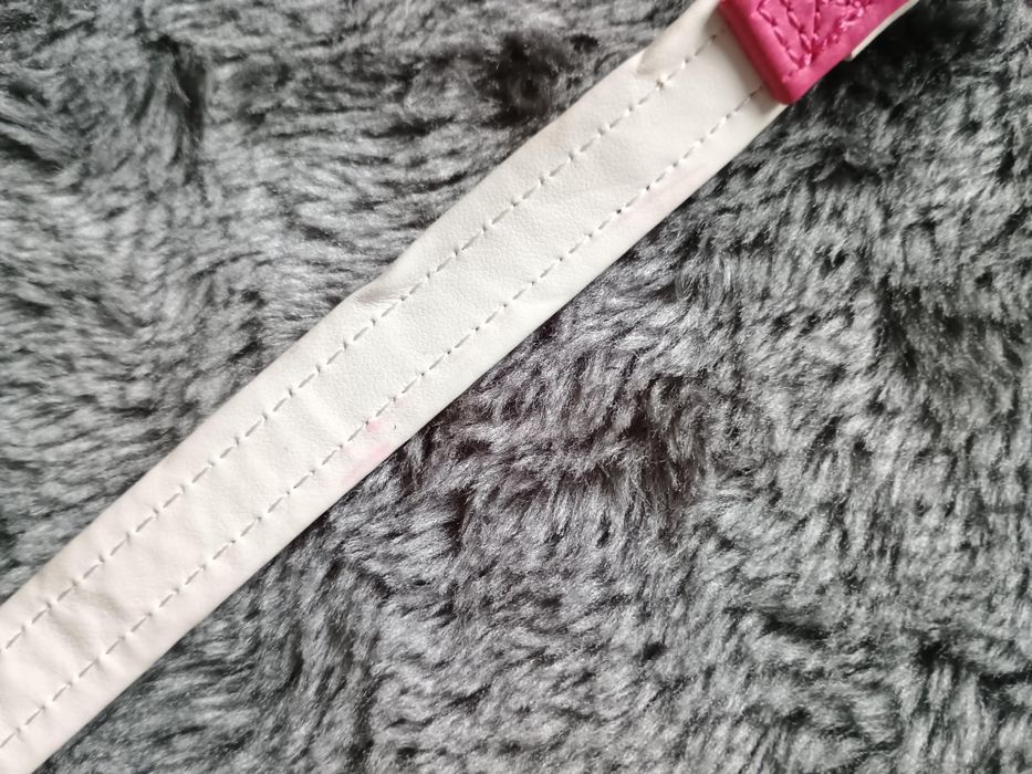 Obroża dla psa Hunter