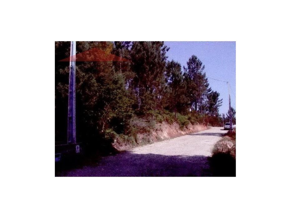 Venda Terreno Caminha