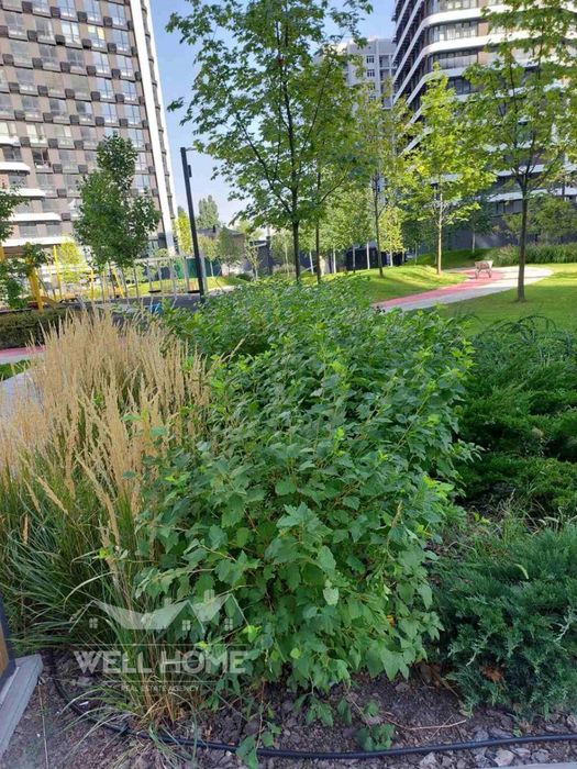 2-кімнатна квартира за адресою наб. Дніпровська (площа 72 м²) - Atlanta.ua - фото 19