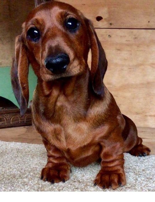 Маленька карамельна душа