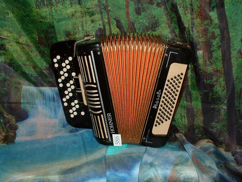 Promoção de Acordeões de concertinas