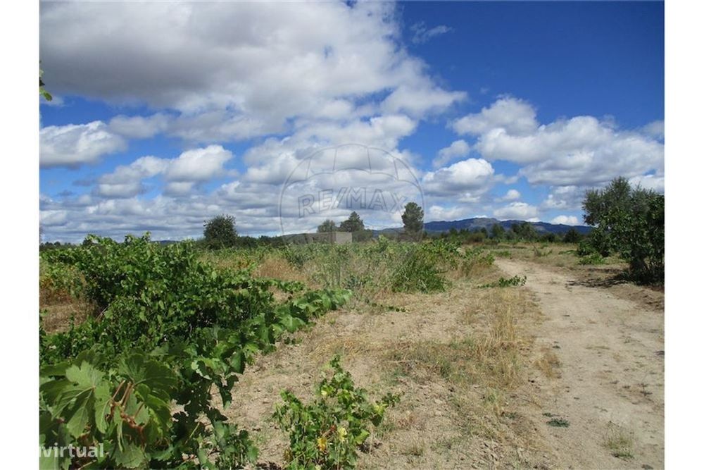 Quinta T0 para venda