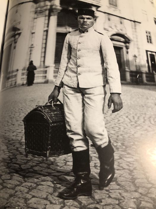 A queda da monarquia, maria filomena monica