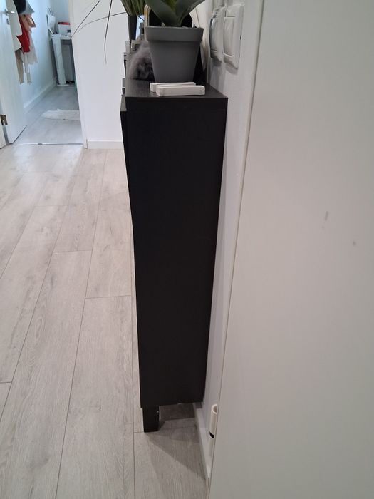 Sapateira preta wengue