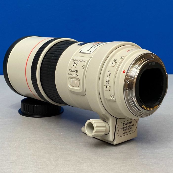 Canon EF 300mm f/4 L IS USM