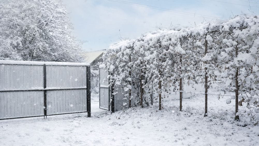 Будинок дача з ремонтом Седнев груба скважина погреб