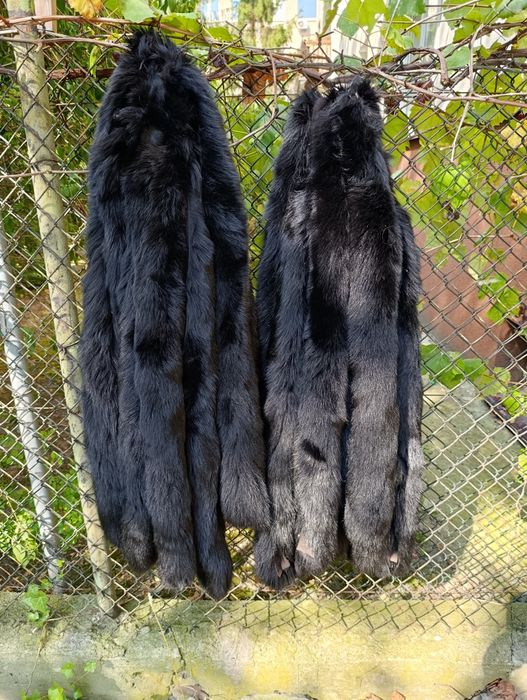skóra z lisa obszycia z lisa