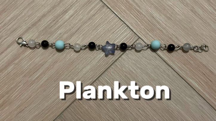 Bransoletka plankton